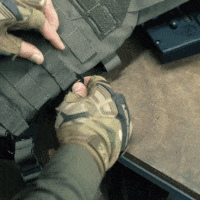 BMu0Myb.gif